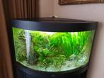 Aquarium JUWEL TRIGON 190 zwart + toebehoren, Dieren en Toebehoren, Ophalen, Gebruikt, Leeg aquarium