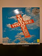 DHS House of God  2x12", CD & DVD, Vinyles | Dance & House, Comme neuf, Enlèvement