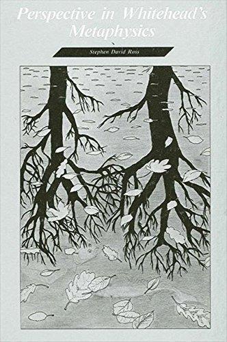 Perspectives in Whitehead's Metaphysics beschikbaar voor biedingen