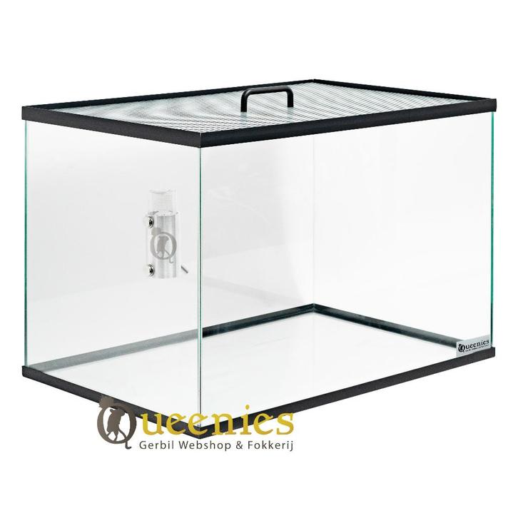 Knaagdier terrarium 80x40x40 zonder schuifruiten, Dieren en Toebehoren, Knaagdieren en Konijnen | Hokken en Kooien, Nieuw, Hok