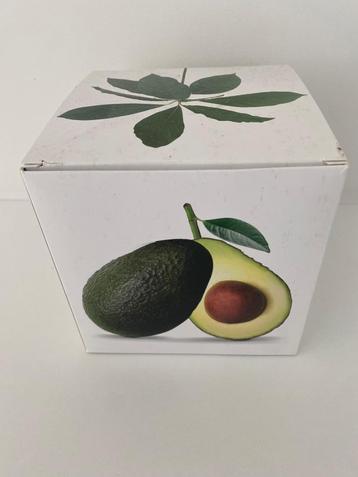 Avocado vase ILEX studio  beschikbaar voor biedingen