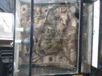 Paludarium/terrarium 80x80x40, Dieren en Toebehoren, Ophalen, Zo goed als nieuw