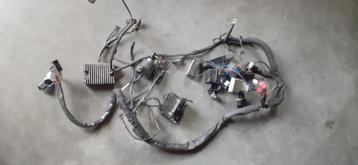 Kabelboom van harley sportster Tot 2003  beschikbaar voor biedingen