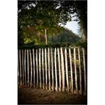Trouvez des clôtures en châtaignier entre 60 cm et 1 mètre d, Comme neuf, Autres types, Bois, Enlèvement