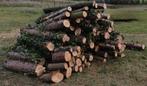 Bois de chauffage - Épicéa, Jardin & Terrasse, Bois de chauffage, Enlèvement, Troncs d'arbres