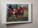 Paarden diamant painting, Dieren en Toebehoren, Paarden en Pony's | Overige Paardenspullen, Ophalen, Zo goed als nieuw, Overige soorten