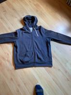 Hoodie met rits Ralph Lauren, Kleding | Heren, Ophalen, Overige maten, Polo Ralph Lauren, Grijs