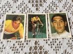 3 chromos prenten EDDY MERCKX Monty gum 1969-70, Ophalen of Verzenden, Gebruikt