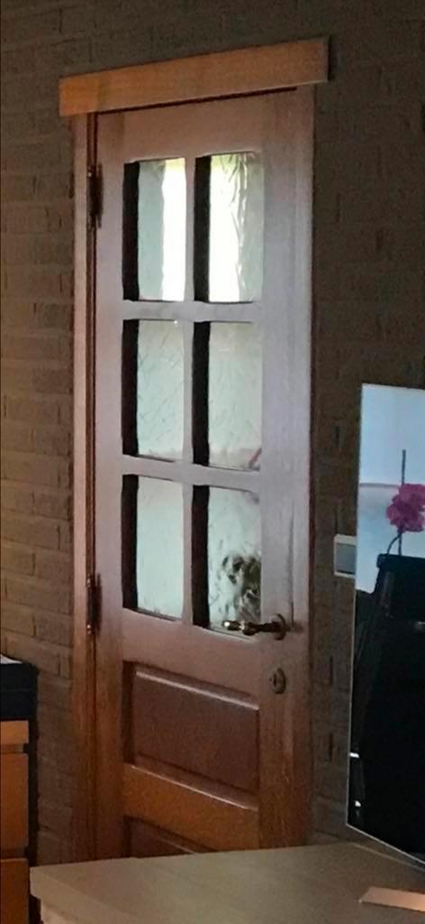Eiken binnen deur voorzien van glas, Doe-het-zelf en Bouw, Deuren en Vliegenramen, Zo goed als nieuw, Glas, Ophalen