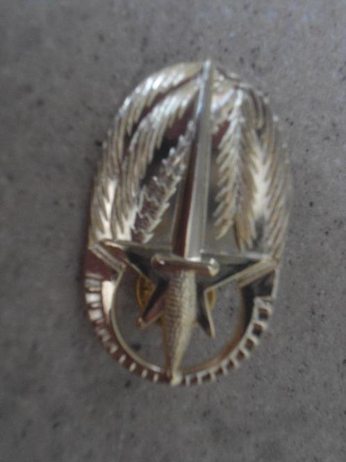 Para Commando 4de BN Commando badge, Verzamelen, Militaria | Algemeen, Landmacht, Embleem of Badge, Verzenden