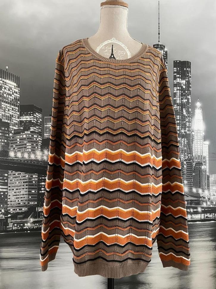 NIEUW prachtige winter trui pull - Peter Hahn - 48, Kleding | Dames, Truien en Vesten, Nieuw, Maat 46/48 (XL) of groter, Bruin
