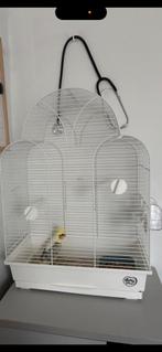 Vogel kooi te koop, Dieren en Toebehoren, Vogels | Hokken en Kooien, Ophalen, Zo goed als nieuw, Vogelkooi