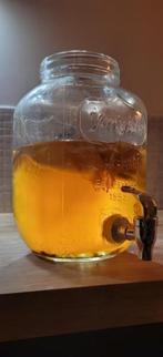 scoby starter kombucha, Diversen, Levensmiddelen, Ophalen