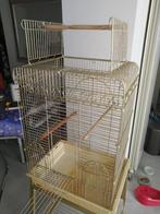 cage perroquet, Enlèvement, Cage à oiseaux