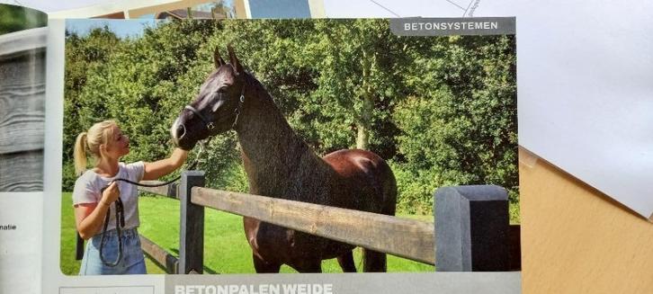 Betonnen Weidepalen, Dieren en Toebehoren, Stalling en Weidegang, Weidegang