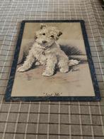 Lithograph hond, Antiek en Kunst, Ophalen