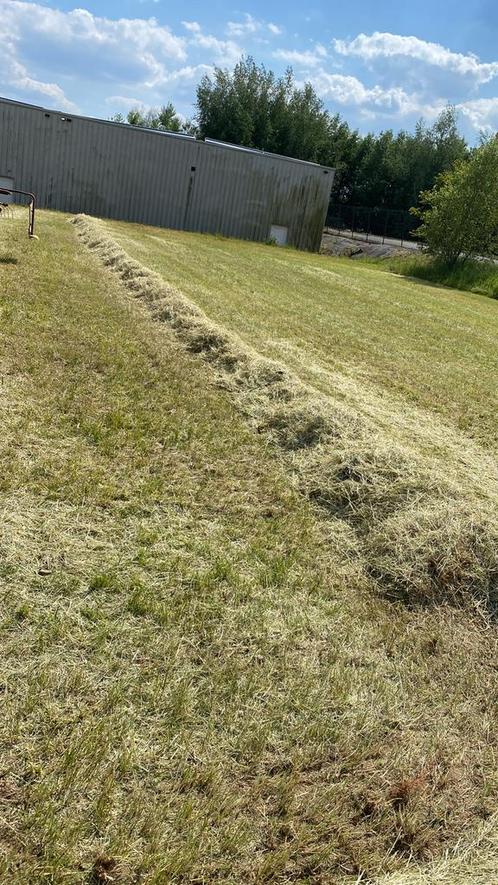 Kleine balen hooi eerste snede, Dieren en Toebehoren, Dierenvoeding, Ophalen