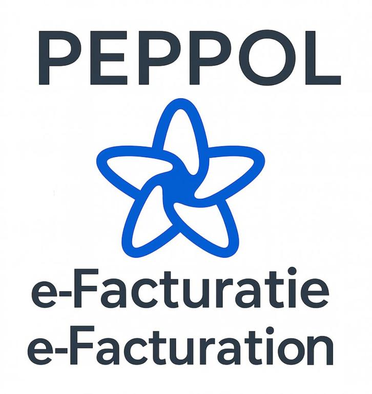 Logiciel de facturation électronique (PEPPOL) E-invoicing, Informatique & Logiciels, Logiciel d'Édition, MacOS, Windows, Enlèvement