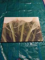 wanddecoratie jline, Enlèvement, Comme neuf