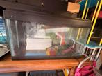 Aquariums, Dieren en Toebehoren, Ophalen, Gebruikt