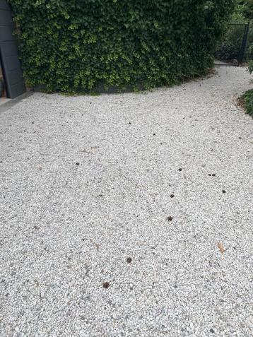 keitjes, Enlèvement, Comme neuf, Blanc, Rocher