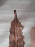 1/6 Slangenhuid, Ophalen of Verzenden