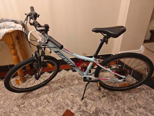 2x Giant mountainbike een 26' en een 24', Fietsen en Brommers, Fietsen | Mountainbikes en ATB, Gebruikt, Giant, Ophalen