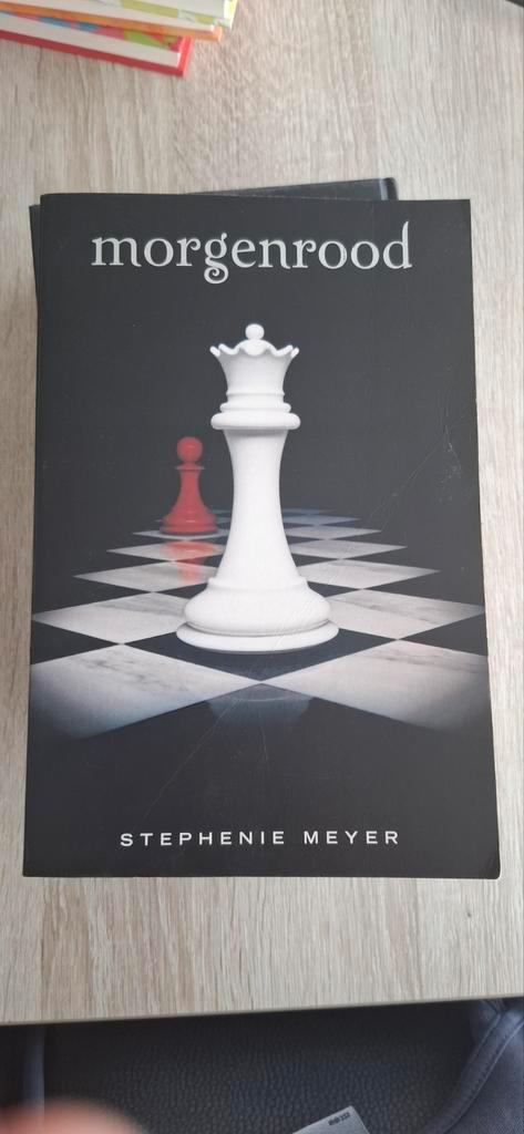 Morgenrood, Boeken, Kinderboeken | Jeugd | 13 jaar en ouder, Zo goed als nieuw, Ophalen of Verzenden