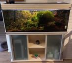 Aquarium met meubel, pomp en accessoires, Dieren en Toebehoren, Ophalen, Zo goed als nieuw, Gevuld zoetwateraquarium