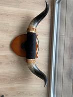 Horens buffel, Ophalen, Gebruikt