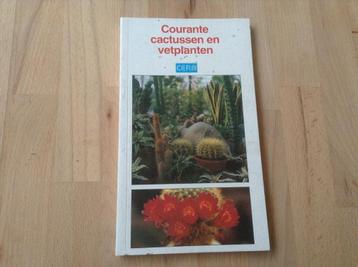 Courante Cactussen en Vetplanten beschikbaar voor biedingen