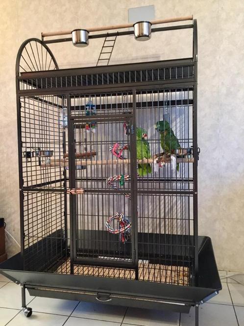 Cage perroquet ARA cage amazone gris gabon cage cacatoes, Animaux & Accessoires, Oiseaux | Cages & Volières, Neuf, Volière, Métal