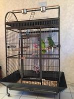 Cage perroquet ARA cage amazone gris gabon cage cacatoes, Nieuw, Metaal, Verzenden, Volière