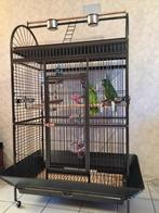 Cage perroquet ARA cage amazone gris gabon cage cacatoes, Verzenden, Nieuw, Metaal, Volière