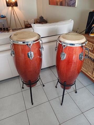 Conga's Meinl Germany 