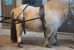 Biothaan shetlander tot a pony mentuig met bitloos hoofdstel, Dieren en Toebehoren, Ophalen of Verzenden, Zo goed als nieuw