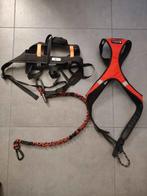 Kit canicross (harnais, ligne de trait et baudrier), Dieren en Toebehoren, Honden-accessoires, Ophalen of Verzenden, Zo goed als nieuw