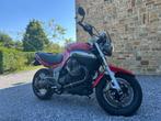 MOTO GUZZI Breva 1100, Motoren, Motoren | Moto Guzzi, 1064 cc, 2 cilinders, Particulier, Meer dan 35 kW