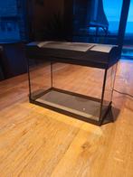 Aqarium 25l, Dieren en Toebehoren, Ophalen