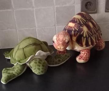 knuffel schildpad beschikbaar voor biedingen