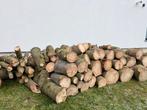 Bois à donner sapin coupé cette semaine à Alsemberg, Jardin & Terrasse, Bois de chauffage, Autres essences de bois
