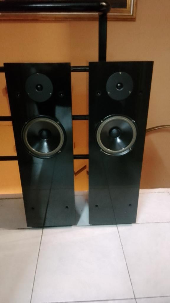 Boxen vloerstaanders R A M koopje, Audio, Tv en Foto, Luidsprekerboxen, Zo goed als nieuw, Ophalen