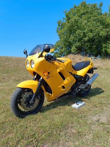 Triumph Daytona 900 T300– 1993 – Oldtimer Geel beschikbaar voor biedingen