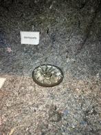 125 Starterkrans 76 Tands, Fietsen en Brommers, Ophalen of Verzenden
