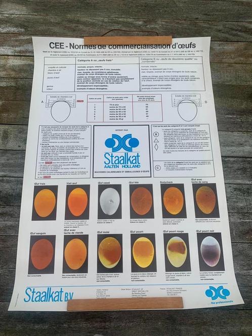 EEG-poster Handelsnormen voor eieren, Antiek en Kunst, Curiosa en Brocante, Ophalen of Verzenden