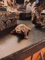 Beeldje schildpad voor aquarium, Schildpad