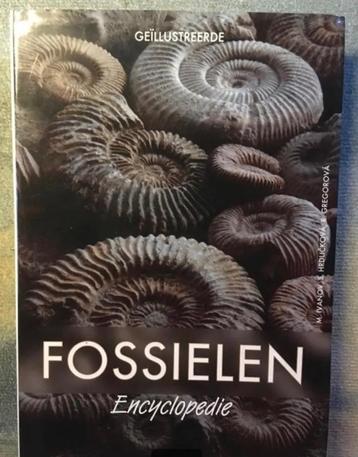 Geïllustreerde Fossielen Encyclopedie 650 kleurenfoto’s