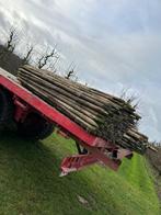 Houten piketten, Ophalen of Verzenden