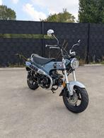 Honda ST125 Dax, Bedrijf, Overig, 11 kW of minder, 124 cc