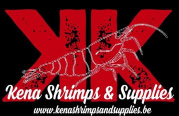 Alles voor Neocaridina en Caridina garnalen shop beschikbaar voor biedingen